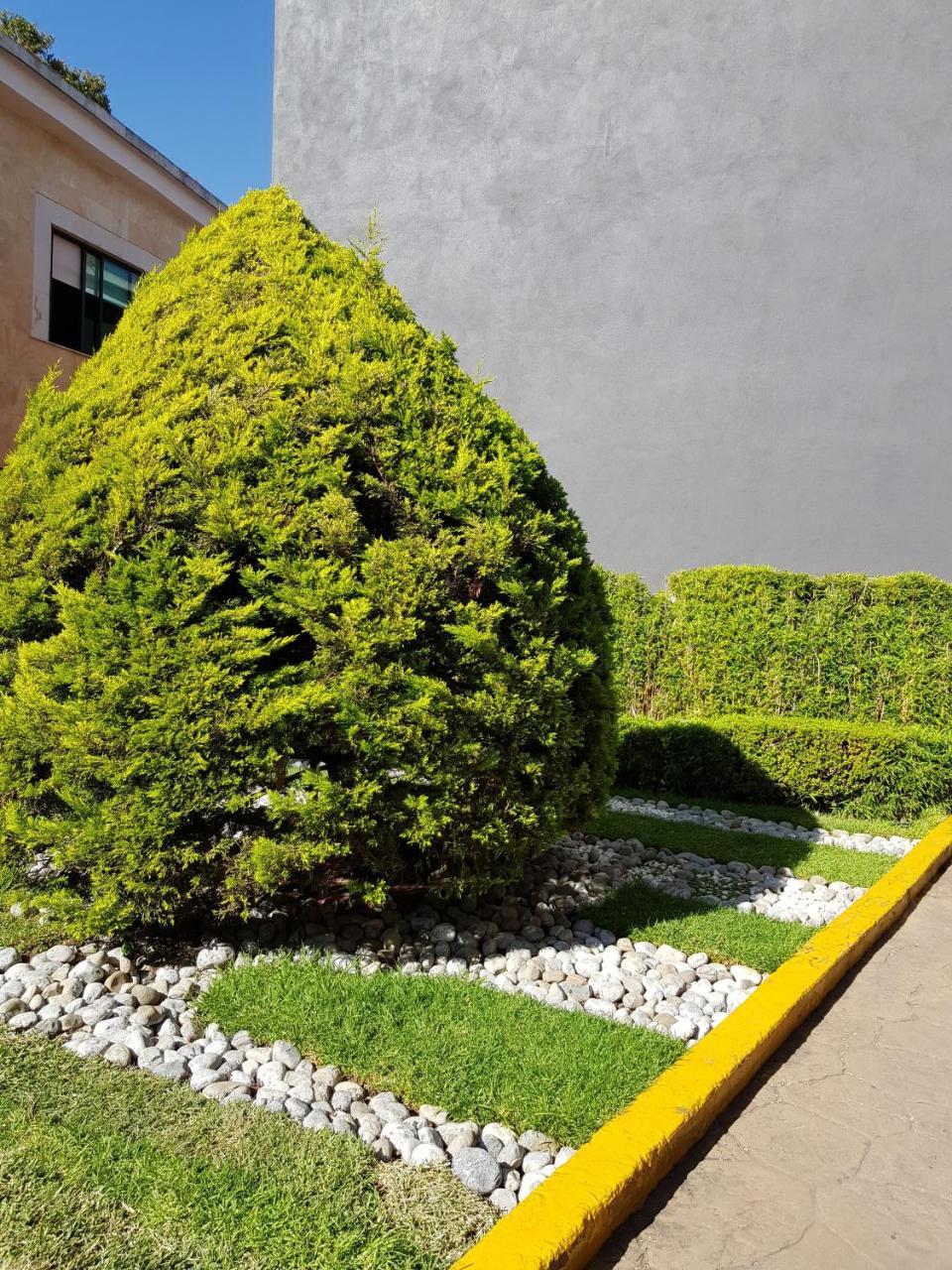 Hotel Hollywood México DF Exterior foto